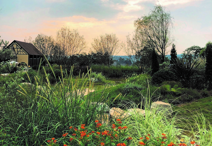中法农业科技园景观示范区“莫奈花园”一角实景图