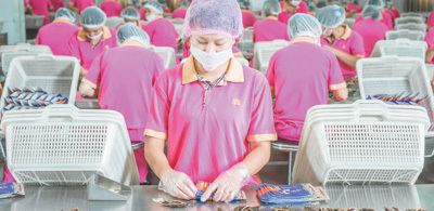 　湖南口味王槟榔生产线员工正在人工挑选槟榔干果进行包装。 　　资料图片