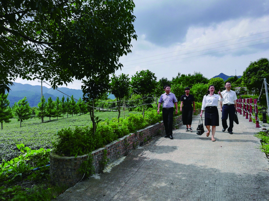 农行工作人员在韶关新丰茶叶现代农业产业园调研。