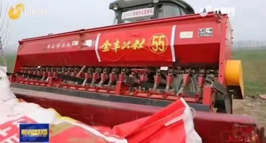 山东电视台报道金丰公社快速恢复农业生产