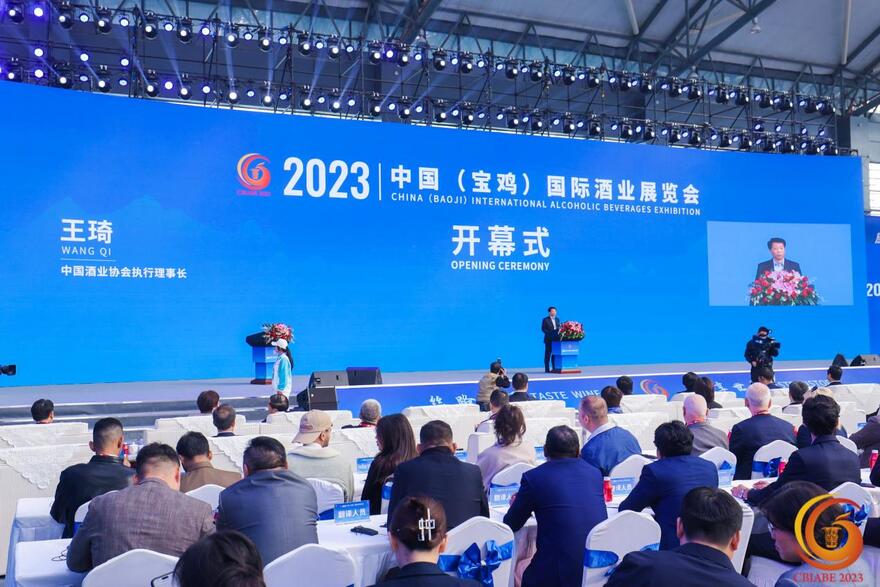 中国酒业协会执行理事长王琦发表讲话