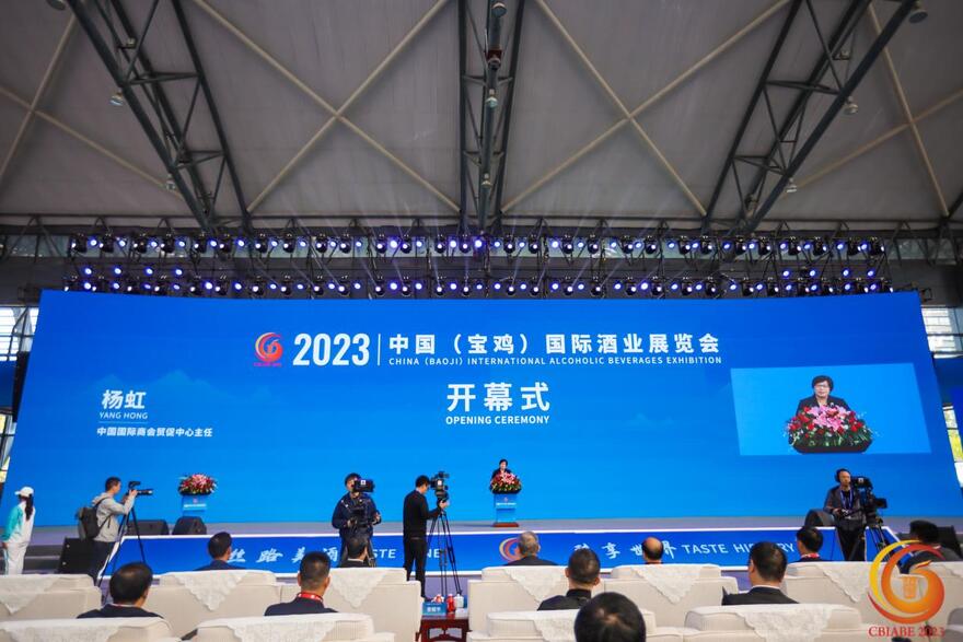 中国国际商会贸促中心主任杨虹致辞